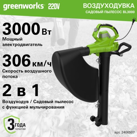 -  Greenworks BL3000 (2406507)