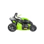   GREENWORKS GD60LM46SP (   ) 2502907