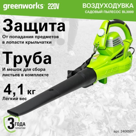-  Greenworks BL3000 (2406507)