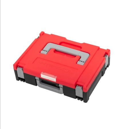 ���� ��������� ���������� 100 (�����) (2407.100)