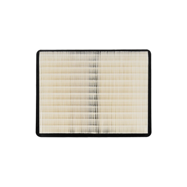    DIAM EX-P30 AUTO (HEPA) 620110