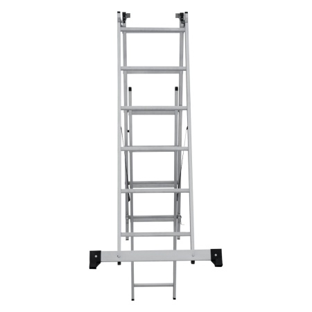      NV 1230, 36 (1230306)