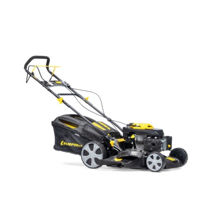 ������������� ���������� ���������� Champion LM4630