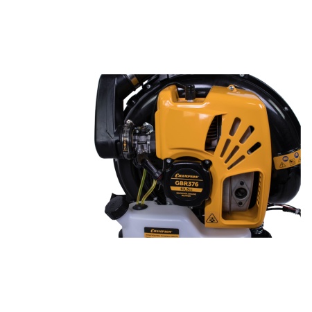 ������������ ���������� Champion GBR376