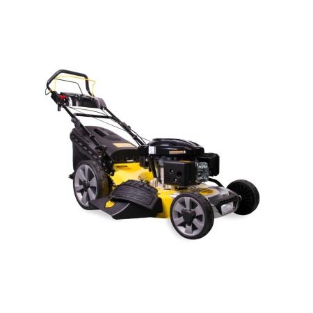 ������������� ���������� ���������� Champion LM5347