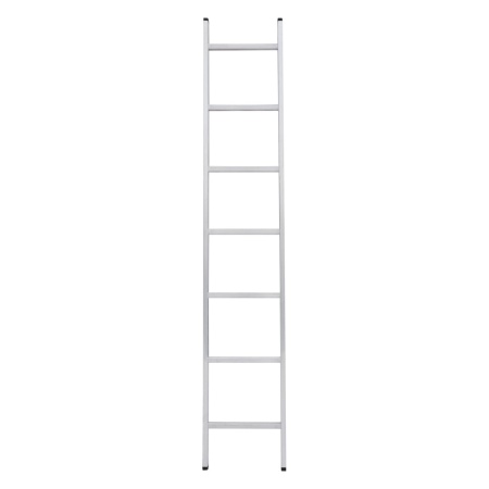      NV 1210, 17 (1210107)