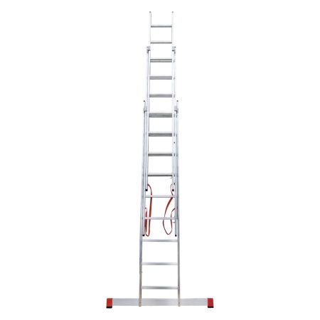        NV 3230, 39 (3230309)