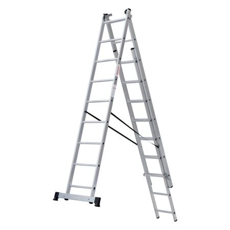      NV 1230, 39 (1230309)