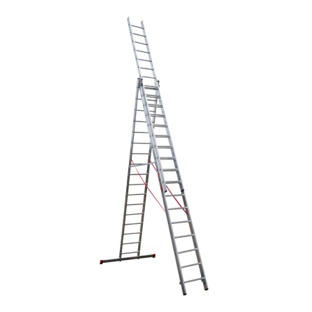        NV 3231, 317 (3231317)