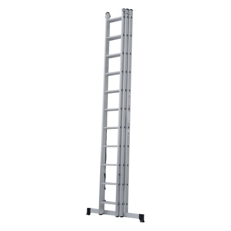      NV 1230, 311 (1230311)