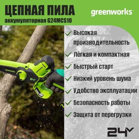     Greenworks G24MCS10 (   ) 2008207