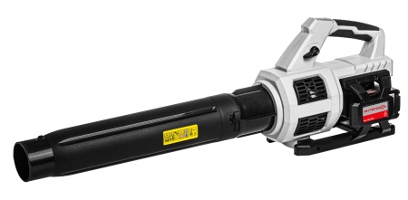    -250/36 (699.1.0.70)