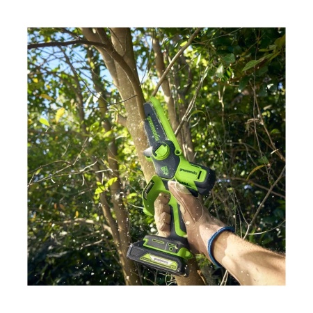     GREENWORKS GD24CS15 (24V, 15, .,    ) 2010107