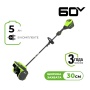 �������������� ������ (������������) Greenworks GD60SS2 2603207UG (���.�������, 60V, 30��, 5�� � ��)