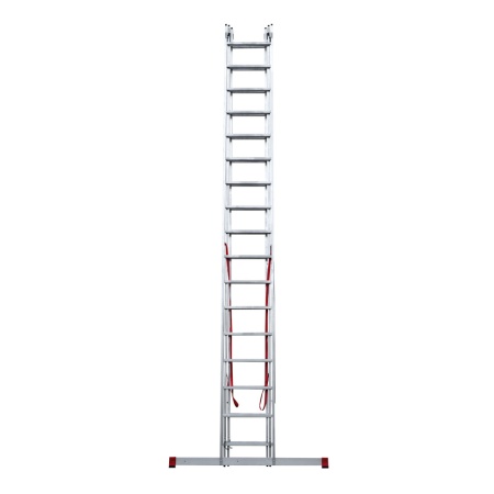        NV 3231, 317 (3231317)