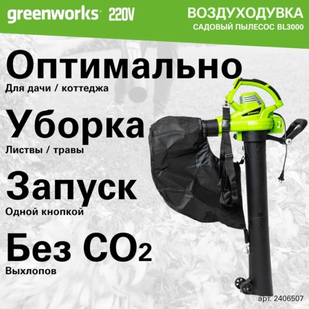 -  Greenworks BL3000 (2406507)