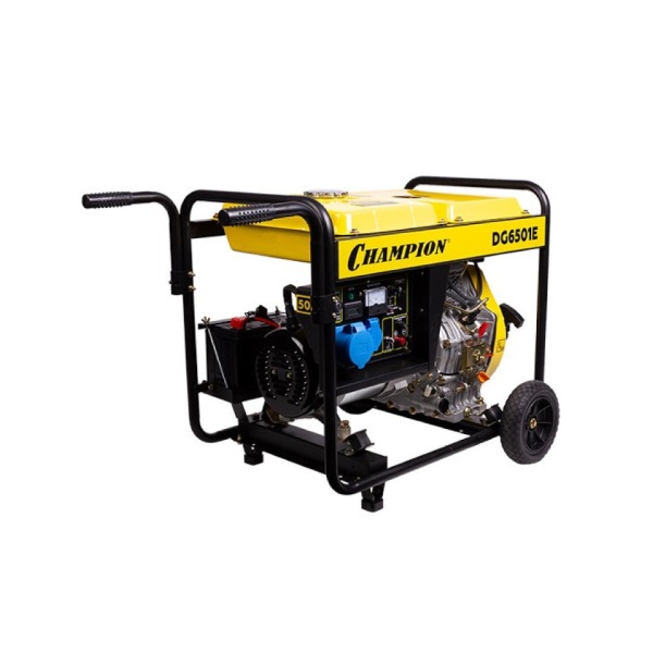   Champion DG6501E