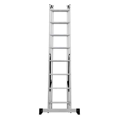      NV 1230, 38 (1230308)