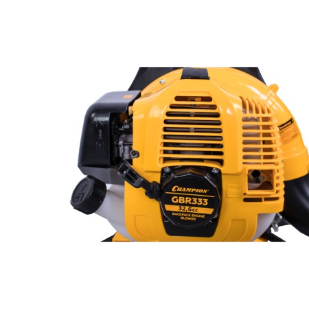 ������������ ���������� Champion GBR333