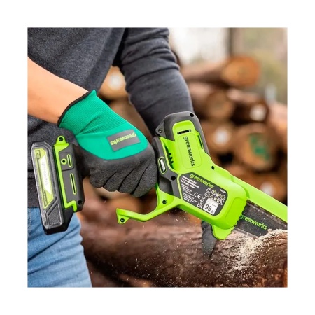     GREENWORKS G24MCS10K2 (24V, 10, 1 2  ) 2008207UA