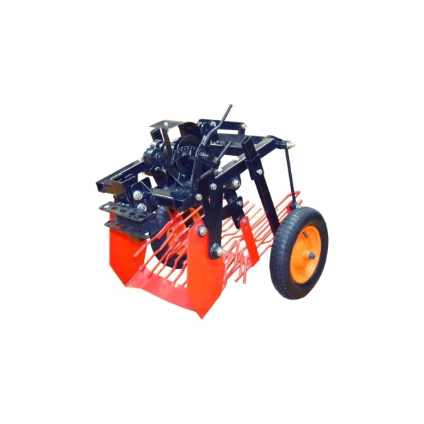      1, 2 FORZA (02.01.03.00.00)